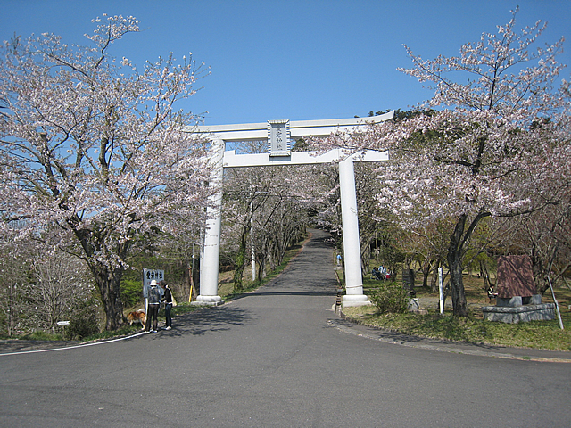 サンプル画像1