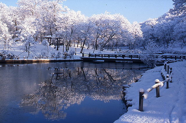 北山公園