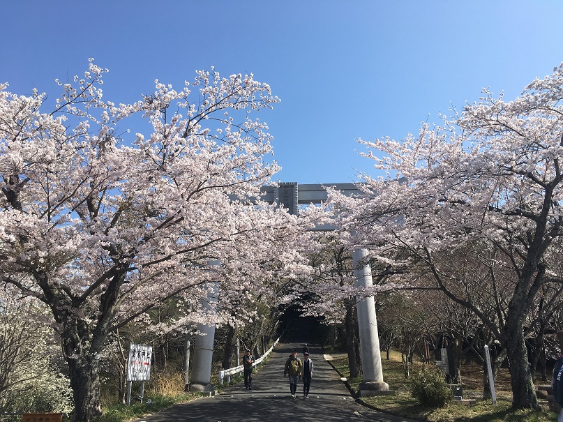 サンプル画像1