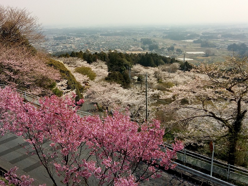 サンプル画像2