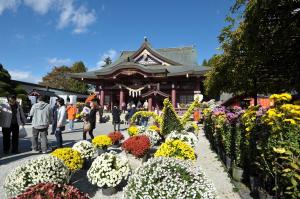 笠間稲荷神社（菊まつり）