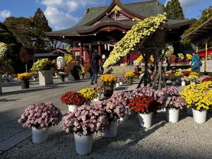神社1111