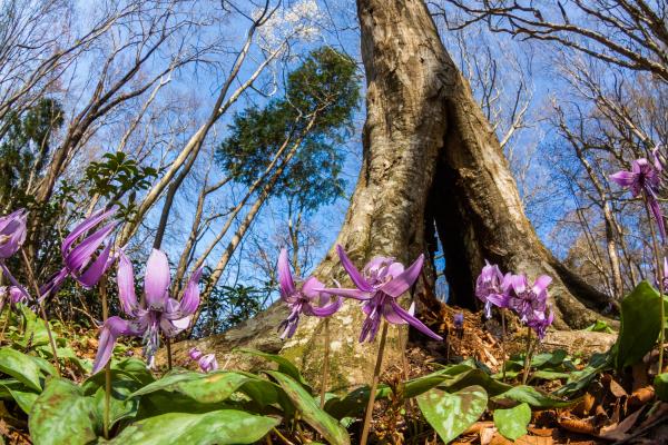 ～笠間アルプス縦走～　愛宕山・難台山・吾国山登山ツアー1