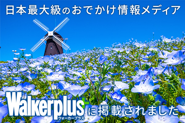 ウォーカープラス