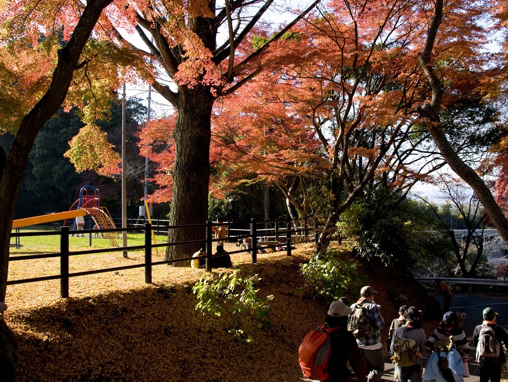 佐白山麓公園