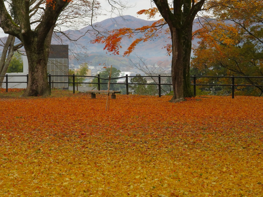 佐白山麓公園