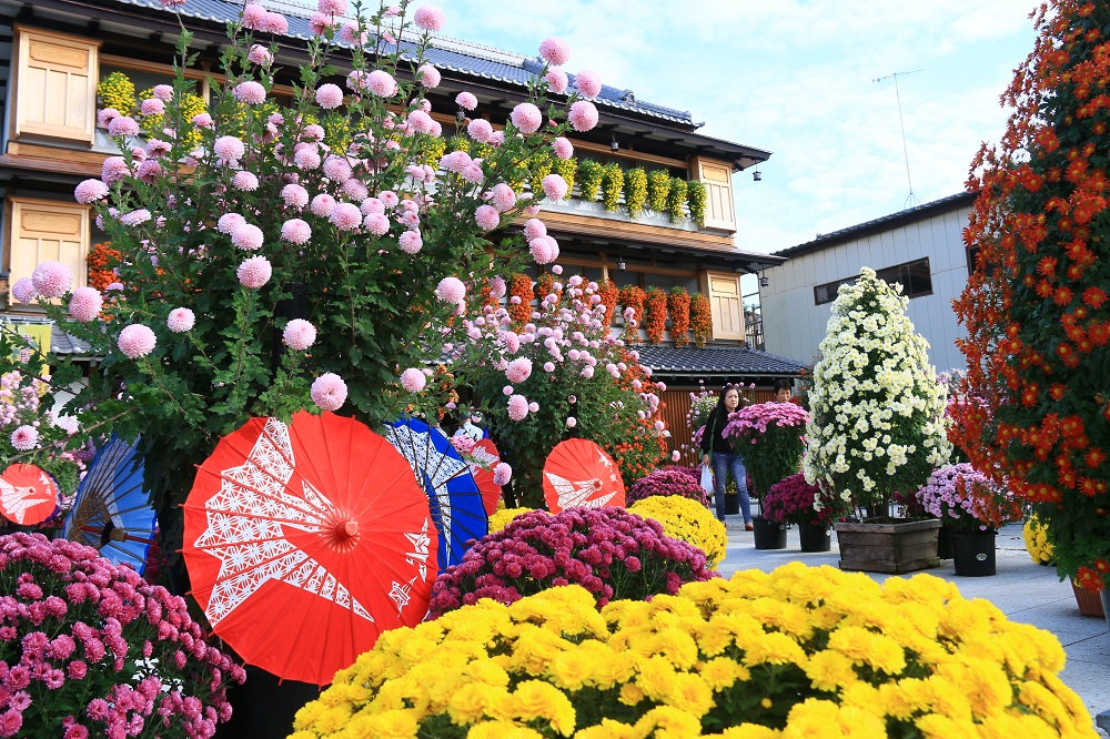 かさま歴史交流館　井筒屋