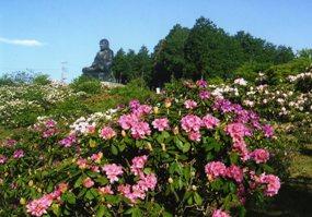 鳳台院