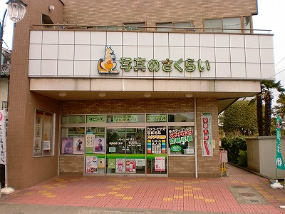 写真のさくらい