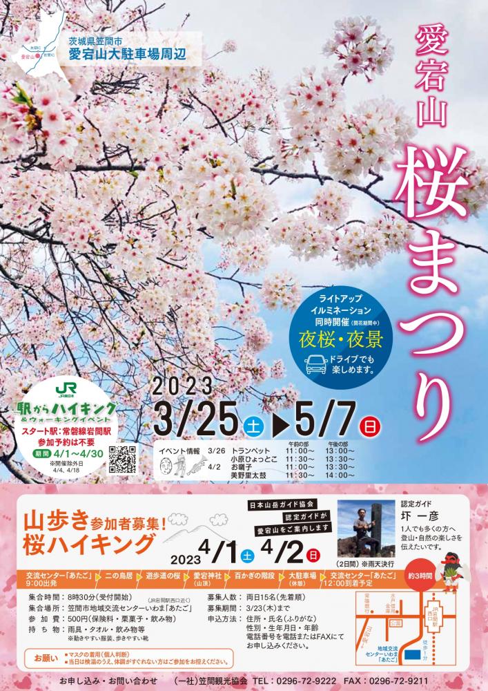 愛宕山　　　　　　　　　　　　　　あたご山桜まつり　　　　　　　　　　　3/25～5/7