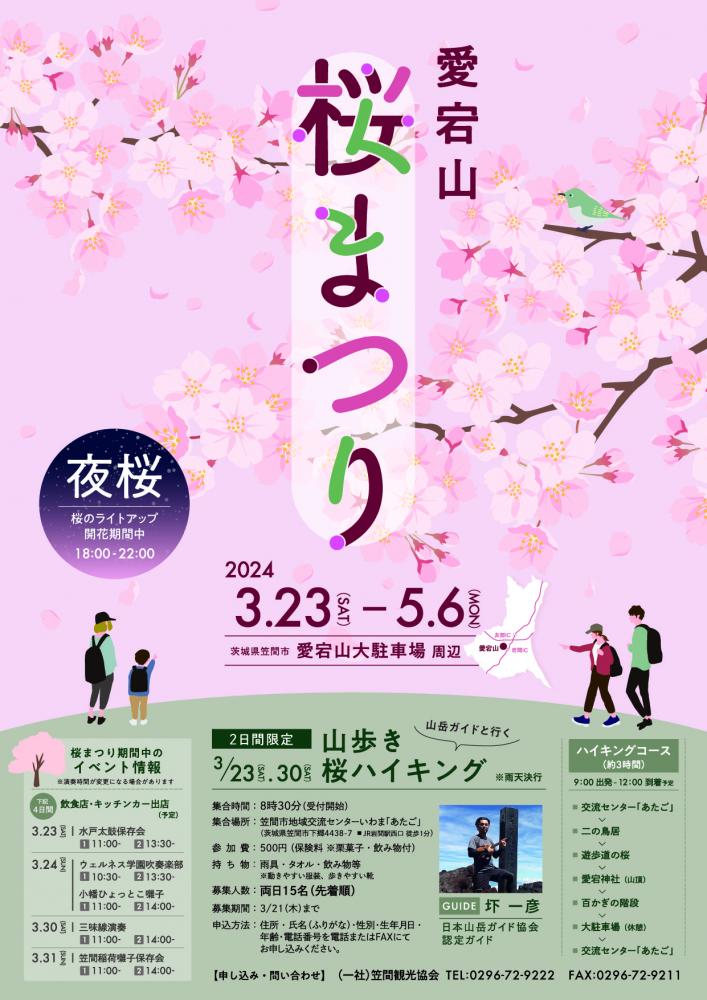 あたご山桜まつり　　　　　　　　　　　　　　　　　2024.3.23～5.6